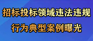 招标投标领域违法违规行为典型案例曝光